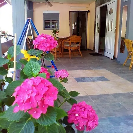 Haris Olympiakí Aktí