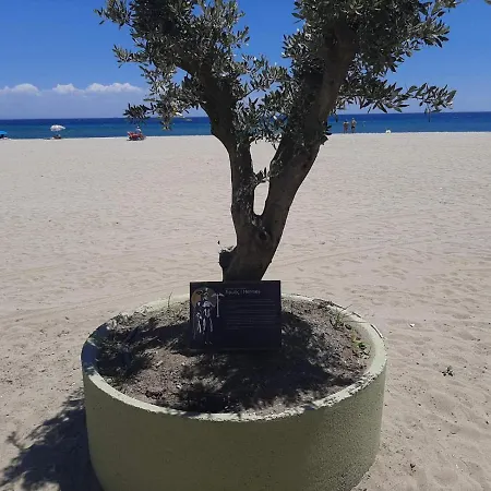 Haris * Olympiakí Aktí