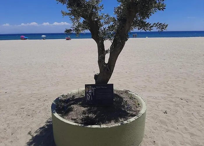 Haris * Olympiakí Aktí